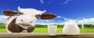 sütçü imam, sütlaç, sütyen, süt filmi, süt çeşitleri, süt alerjisi, süt gaz yapar mı, sütün faydaları, sütün yararları, süt kalorisi