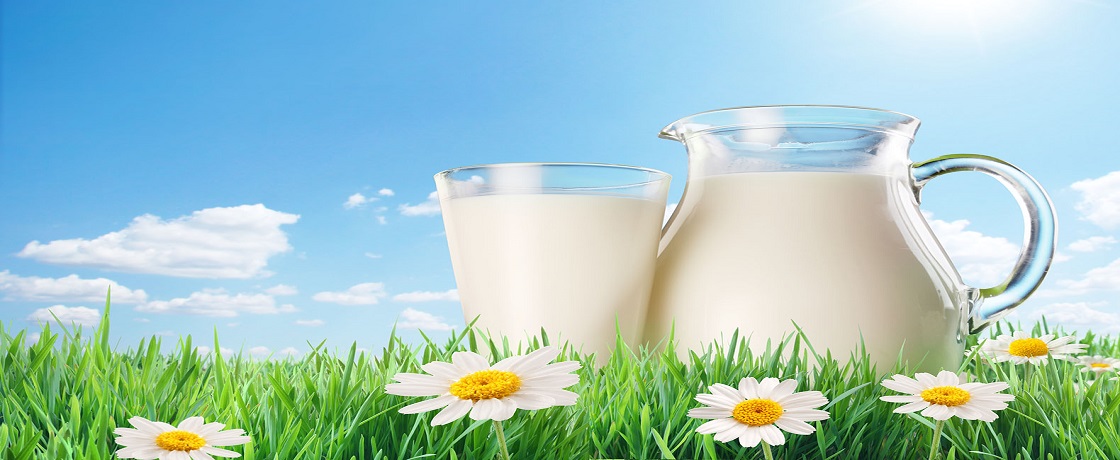 sütçü imam, sütlaç, sütyen, süt filmi, süt çeşitleri, süt alerjisi, süt gaz yapar mı, sütün faydaları, sütün yararları, süt kalorisi