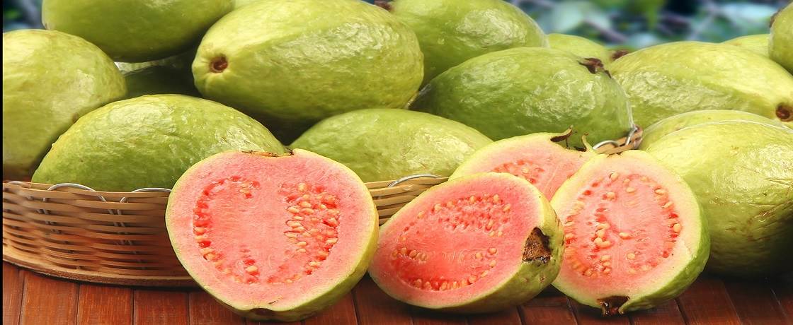 Guava meyvesi